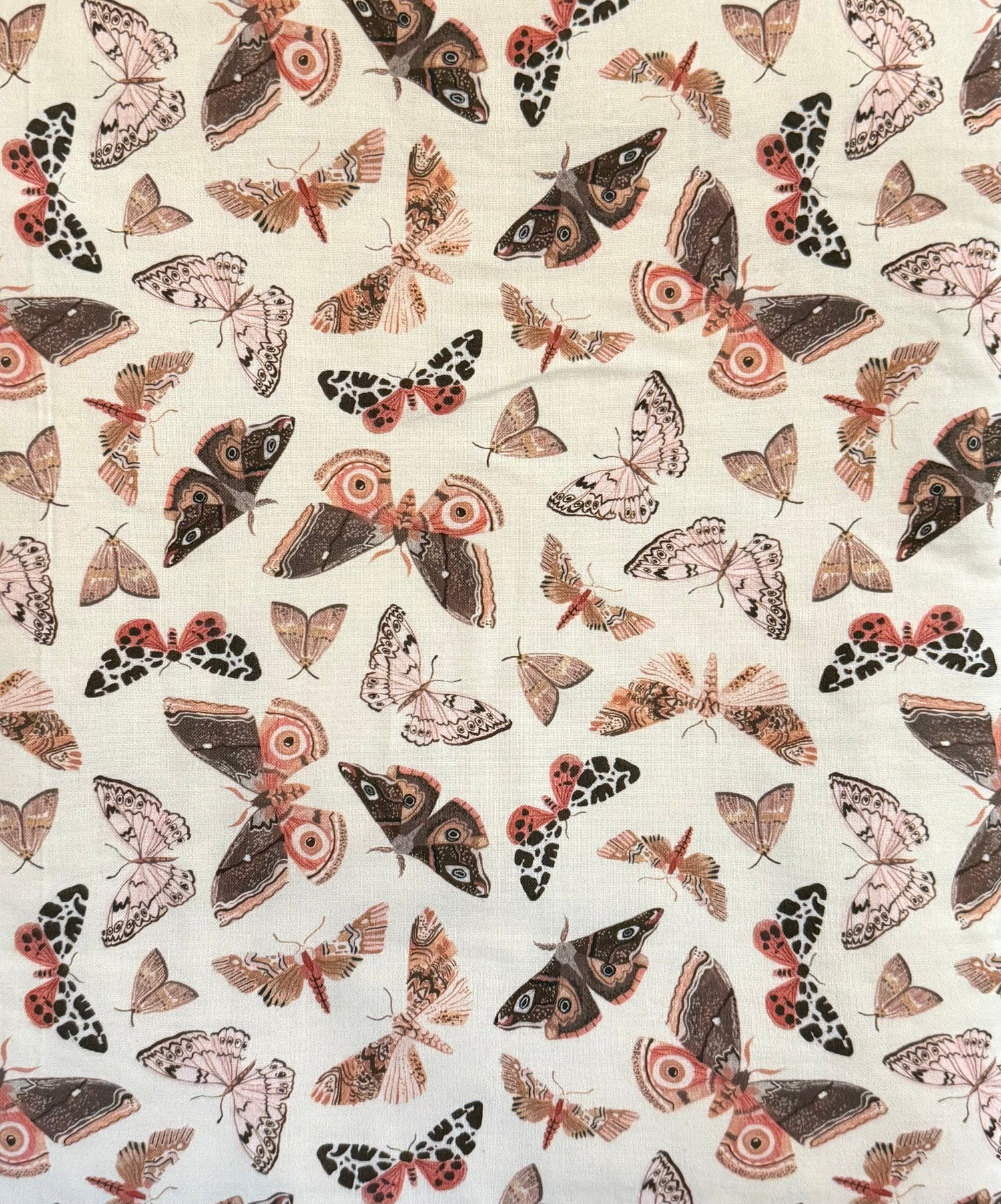 The Fae Moths