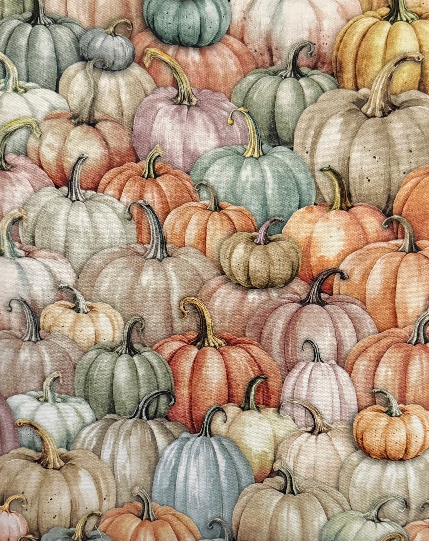 Colorful Pumpkins