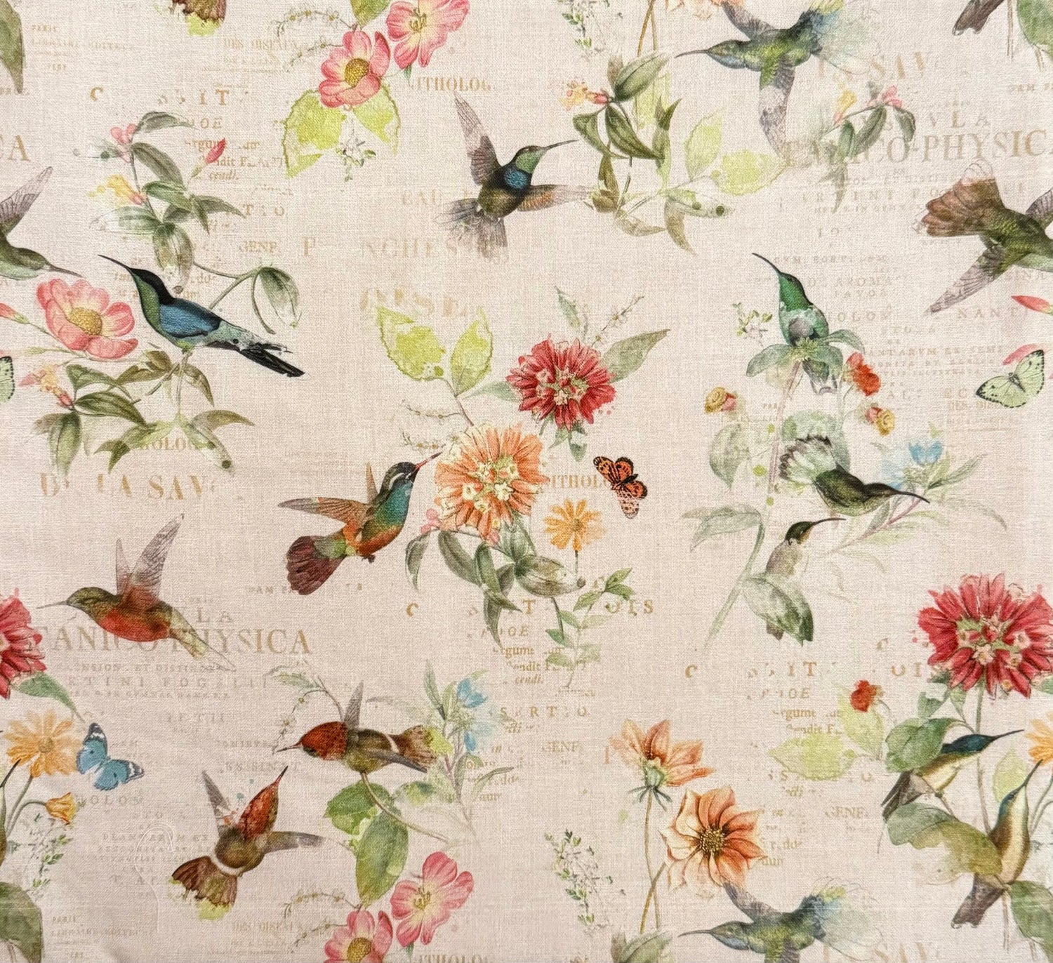 Hummingbird Days Toile