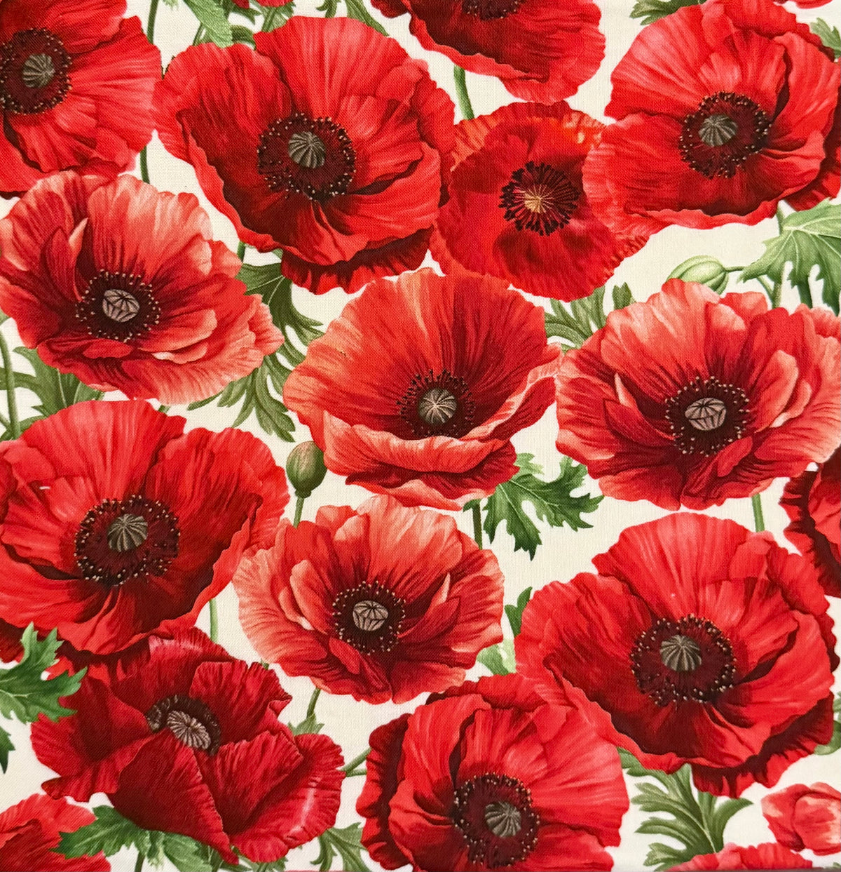 Poppy Passions