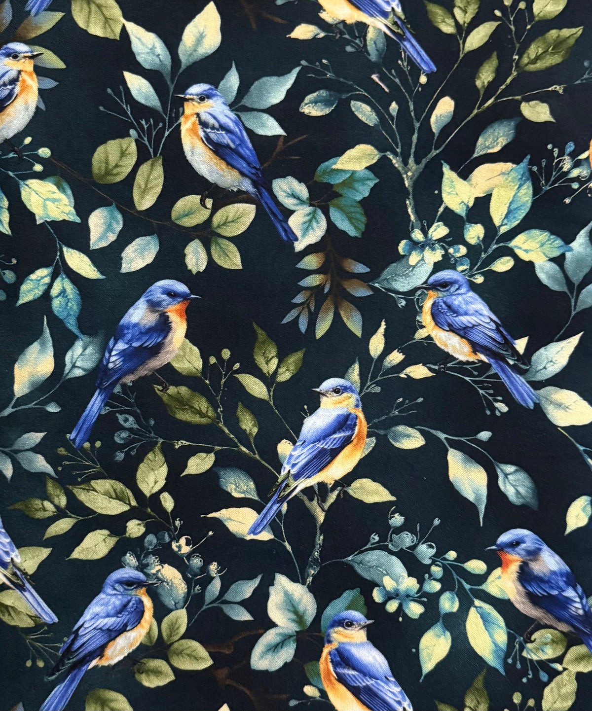 Awakenings Blue Birds